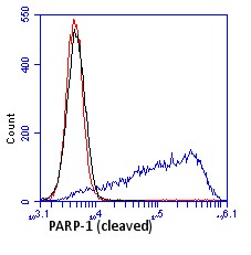 Flow Cytometry - Anti-Cleaved PARP1 antibody [4B5BD2] (AB110315), expandable thumbnail