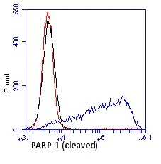 Flow Cytometry - Anti-Cleaved PARP1 antibody [4B5BD2] (AB110315)