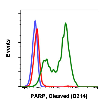 Flow Cytometry - Anti-Cleaved PARP1 antibody [PARP-H8] (AB278604)
