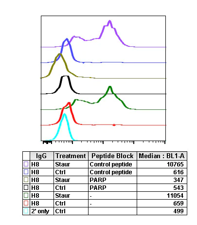Flow Cytometry - Anti-Cleaved PARP1 antibody [PARP-H8] (AB278604)