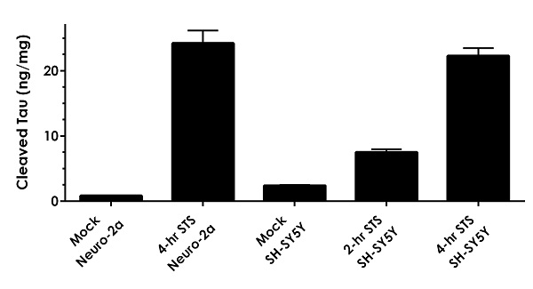 Sandwich ELISA - Cleaved Tau ELISA Kit (Human Asp738/Mouse Asp713) (AB269557), expandable thumbnail