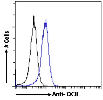 Flow Cytometry (Intracellular) - Anti-CLEC2D antibody (AB239222)
