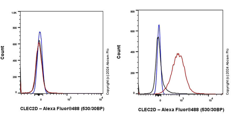 Flow Cytometry - Anti-CLEC2D antibody [EPR27405-92] (AB319140), expandable thumbnail