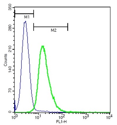 Flow Cytometry - Anti-CLEC5A antibody (AB203200)
