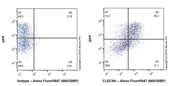 Flow Cytometry - Anti-CLEC9A antibody [EPR22324] - BSA and Azide free (AB245121)
