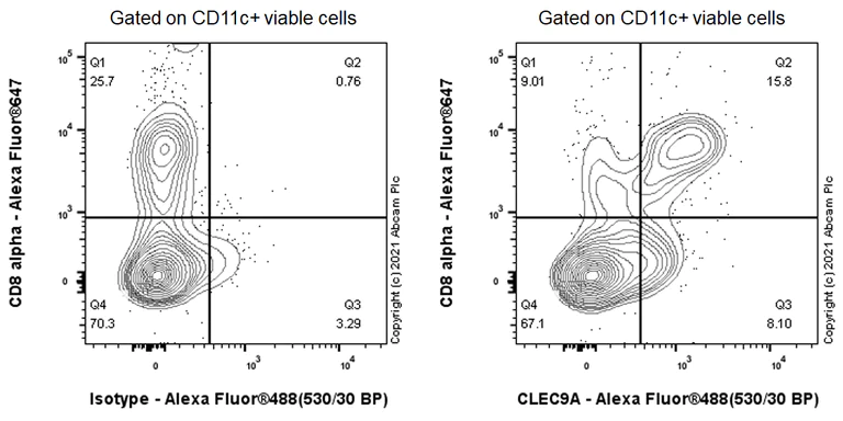 Flow Cytometry - Anti-CLEC9A antibody [EPR24271-2] (AB270991)