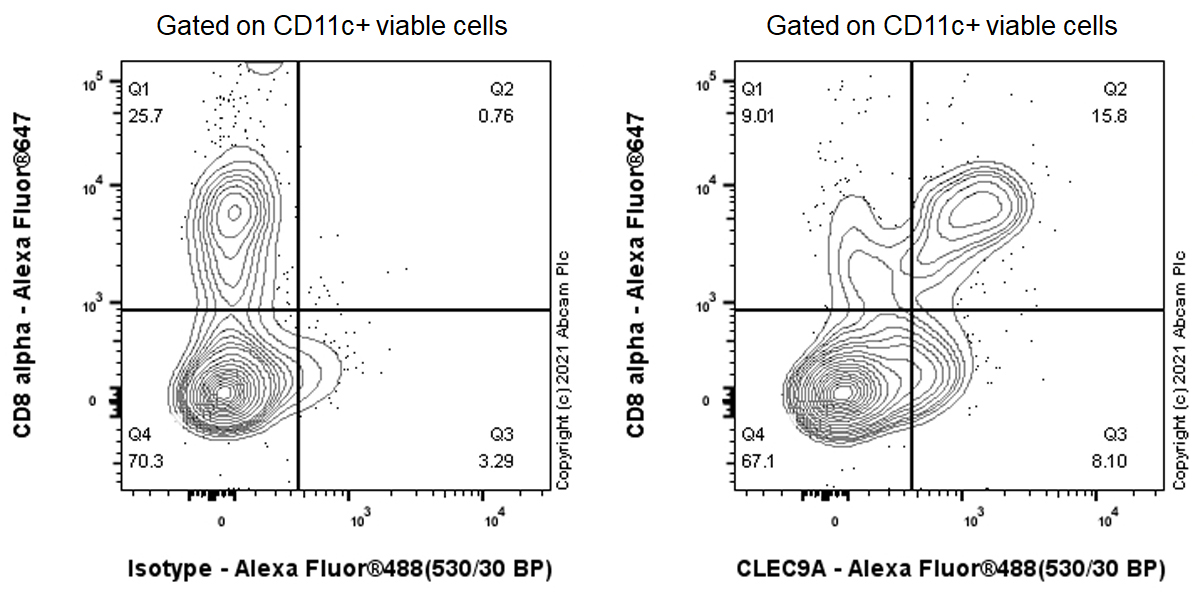Flow Cytometry - Anti-CLEC9A antibody [EPR24271-2] - BSA and Azide free (AB282739), expandable thumbnail
