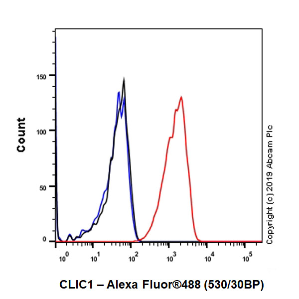 Flow Cytometry (Intracellular) - Anti-CLIC1 antibody [EPR22907-50] - BSA and Azide free (AB256514), expandable thumbnail