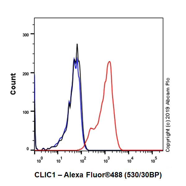 Flow Cytometry (Intracellular) - Anti-CLIC1 antibody [EPR22907-50] - BSA and Azide free (AB256514), expandable thumbnail