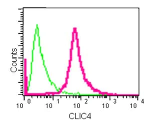 Flow Cytometry (Intracellular) - Anti-CLIC4 antibody [EPR14253] - BSA and Azide free (AB236130)