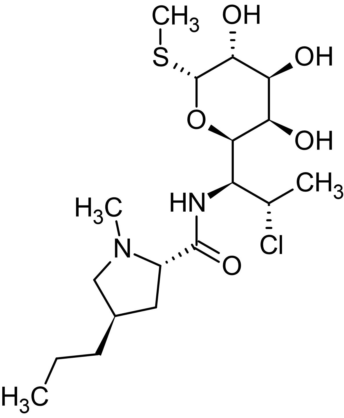 Clindamycin, inhibits protein synthesis