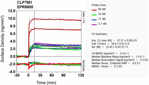 OI-RD Scanning - Anti-CLPTM1 antibody [EPR8800] (ab133756), expandable thumbnail