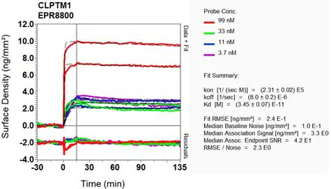 OI-RD Scanning - Anti-CLPTM1 antibody [EPR8800] (AB133756)