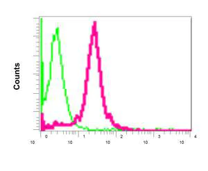 Flow Cytometry (Intracellular) - Anti-CMAS antibody [EPR10485] (AB157189)