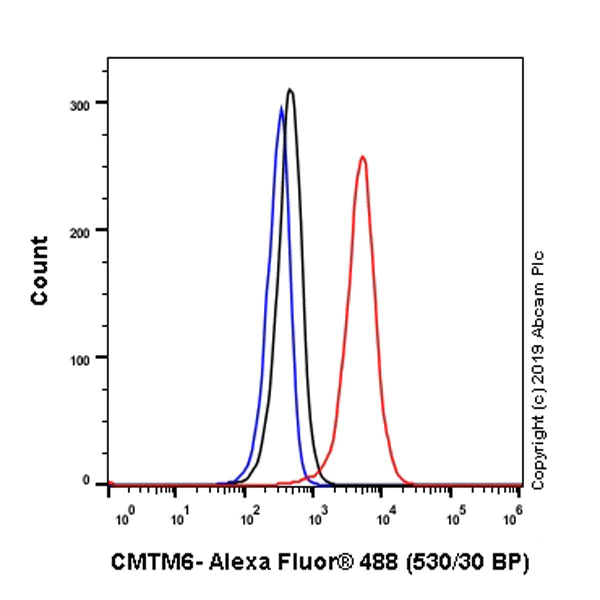Flow Cytometry (Intracellular) - Anti-CMTM6 antibody [EPR23015-45] - BSA and Azide free (AB264076)
