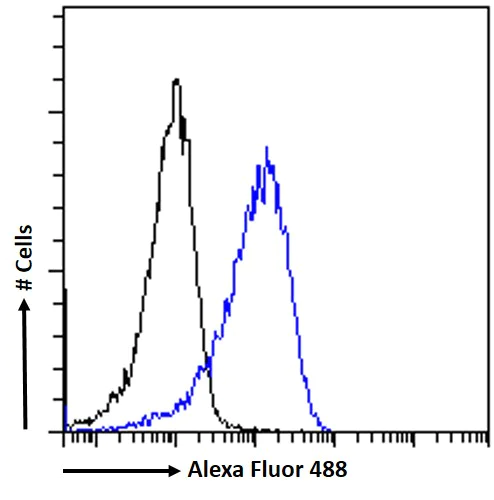 Flow Cytometry - Anti-CNBP antibody (AB48027)