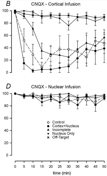 Flow Cytometry - CNQX disodium salt (mM/ml), AMPA / kainate antagonist (water soluble) (AB144488)
