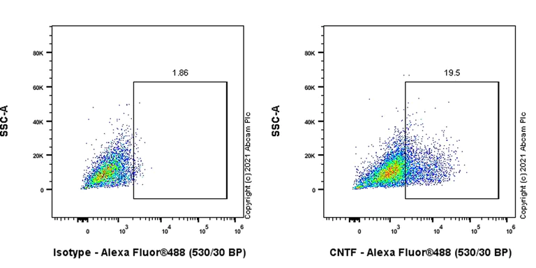 Flow Cytometry (Intracellular) - Anti-CNTF antibody [EPR24553-104] (AB270992)