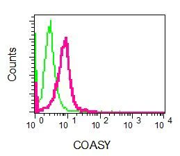 Flow Cytometry (Intracellular) - Anti-COASY antibody [EPR8246] - BSA and Azide free (AB248259)