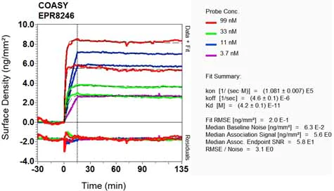 OI-RD Scanning - Anti-COASY antibody [EPR8246] - BSA and Azide free (AB248259)