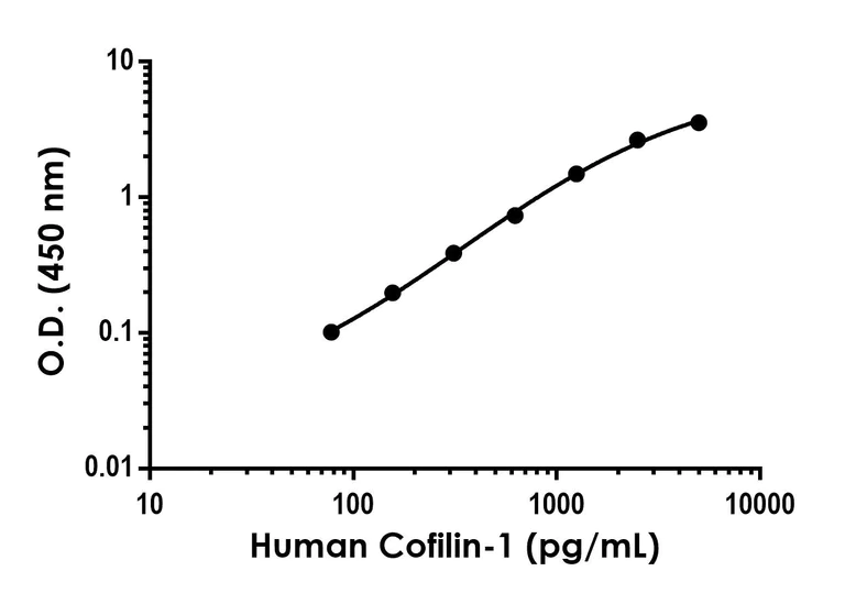 Sandwich ELISA - Anti-Cofilin-1 antibody [EPR24514-8] - BSA and Azide free (Detector) (AB300185)