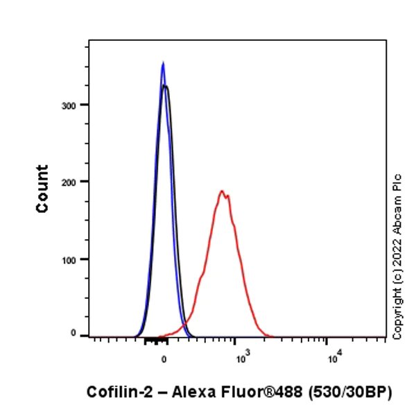 Flow Cytometry (Intracellular) - Anti-Cofilin 2 antibody [EPR24519-7] (AB300128)