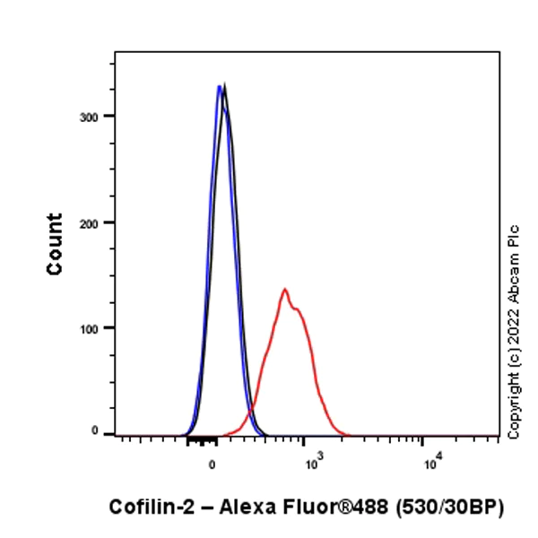 Flow Cytometry (Intracellular) - Anti-Cofilin 2 antibody [EPR24519-7] (AB300128)