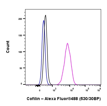 Flow Cytometry (Intracellular) - Anti-Cofilin antibody [RM1210] - Loading Control (AB319061), expandable thumbnail