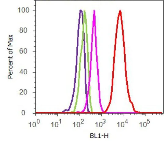 Flow Cytometry - Anti-Cofilin (phospho S3) antibody (AB12866)