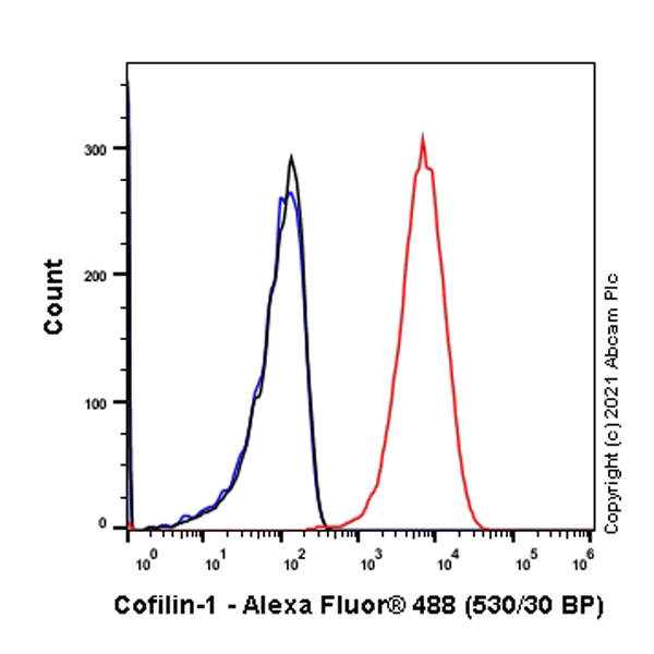 Flow Cytometry (Intracellular) - Anti-Cofilin (phospho S3) antibody [EPR24753-28] - BSA and Azide free (AB283513)