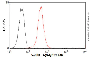 Flow Cytometry (Intracellular) - Anti-Coilin antibody [IH10] (AB87913)