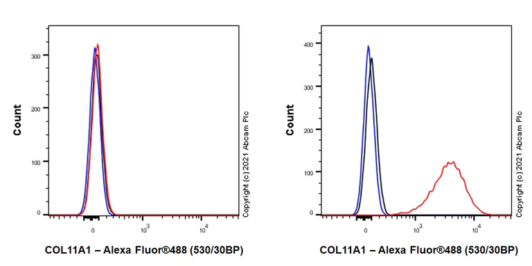Flow Cytometry (Intracellular) - Anti-COL11A1 antibody [EPR24327-8] (AB270946)