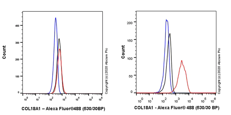 Flow Cytometry (Intracellular) - Anti-COL18A1 antibody [EPR23481-21] (AB275746)