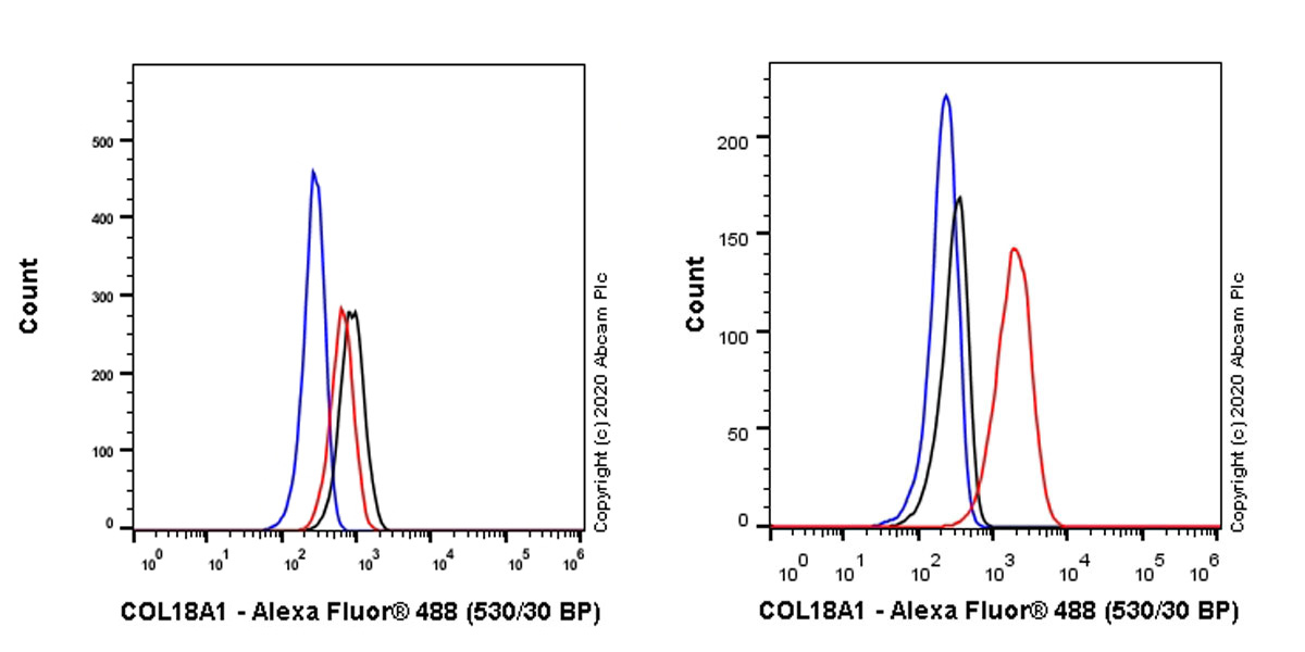 Flow Cytometry (Intracellular) - Anti-COL18A1 antibody [EPR23481-240] (AB275390)