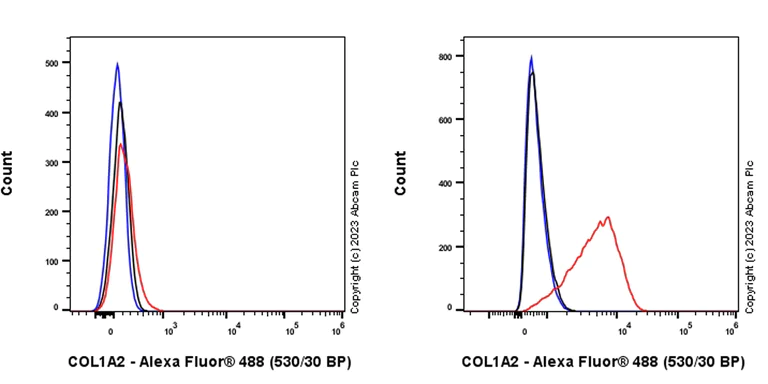 Flow Cytometry (Intracellular) - Anti-COL1A2 antibody [EPR27415-30] - BSA and Azide free (AB308456)