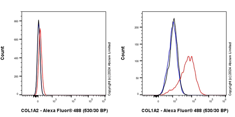 Flow Cytometry (Intracellular) - Anti-COL1A2 antibody [RM1295] (AB322963)