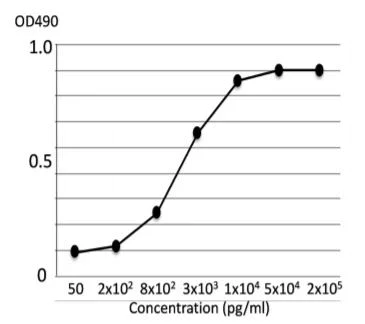 ELISA - Anti-COLEC11 antibody [821] (AB278063)