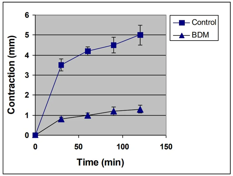 Functional Studies - Collagen-based Cell Contraction Assay (AB325585)