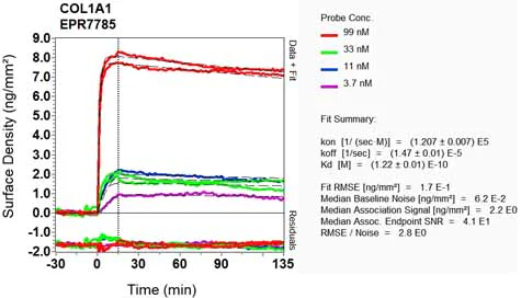 OI-RD Scanning - Anti-Collagen I antibody [EPR7785] - BSA and Azide free (AB215969)