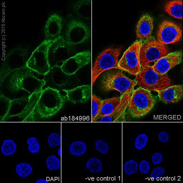 アイケア @abc Bruder Moist Heat Eye Compress | Amcon Labs