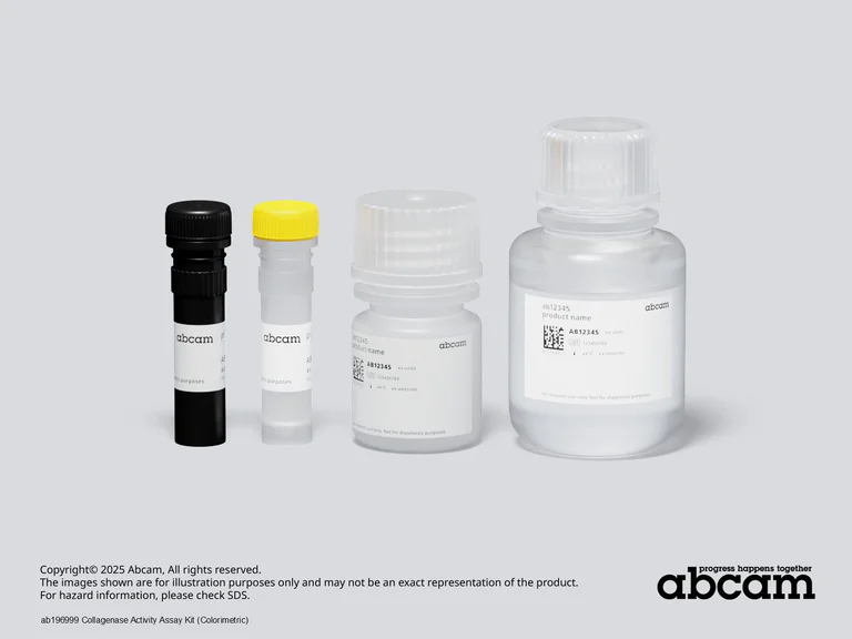 Other - Collagenase Activity Assay Kit (Colorimetric) (AB196999)