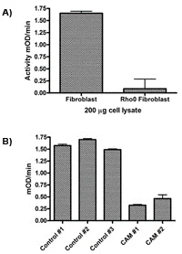 Functional Studies - Complex I Enzyme Activity Microplate Assay Kit (Colorimetric) (AB109721)