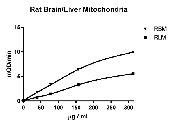 Functional Studies - Complex I Enzyme Activity Microplate Assay Kit (Colorimetric) (AB109721)