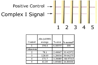 ELISA - Complex I Human Protein Quantity Dipstick Assay Kit (AB109722), expandable thumbnail