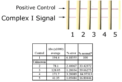 ELISA - Complex I Human Protein Quantity Dipstick Assay Kit (AB109722)