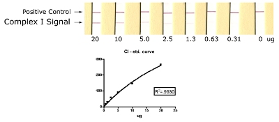 ELISA - Complex I Human Protein Quantity Dipstick Assay Kit (AB109722), expandable thumbnail