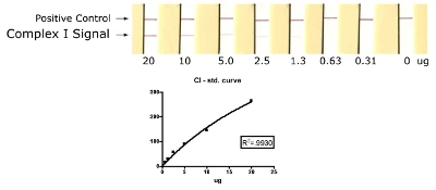 ELISA - Complex I Human Protein Quantity Dipstick Assay Kit (AB109722)