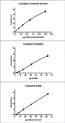 Functional Studies - Complex II Activity Assay Kit (Colorimetric) (AB109908)