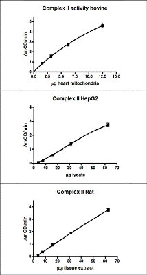 Functional Studies - Complex II Enzyme Activity Microplate Assay Kit (AB109908), expandable thumbnail