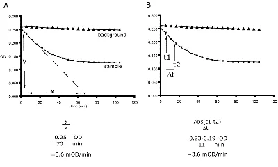 Functional Studies - Complex IV Human Enzyme Activity Microplate Assay Kit (AB109909)
